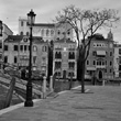 Venezia. Carnevale al Café Florian